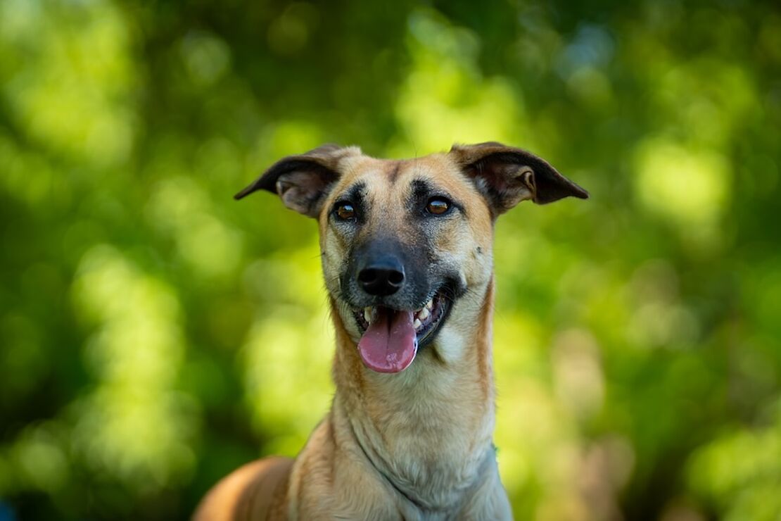 Cleo_Portrait