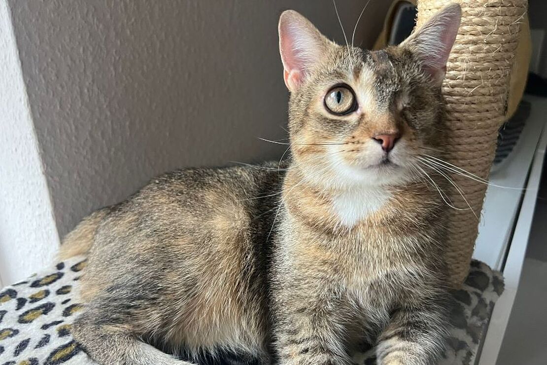 Minnie