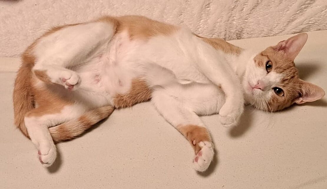 Amber