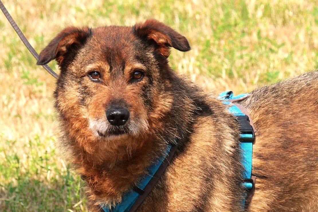 rudi02
