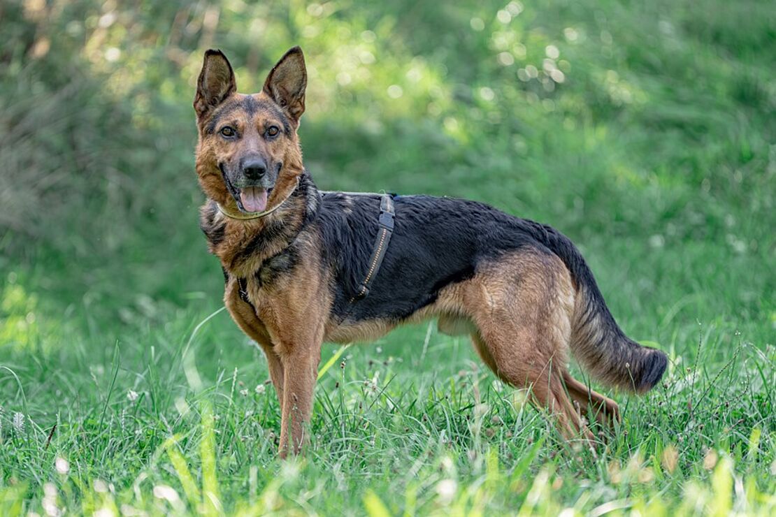 Max_01