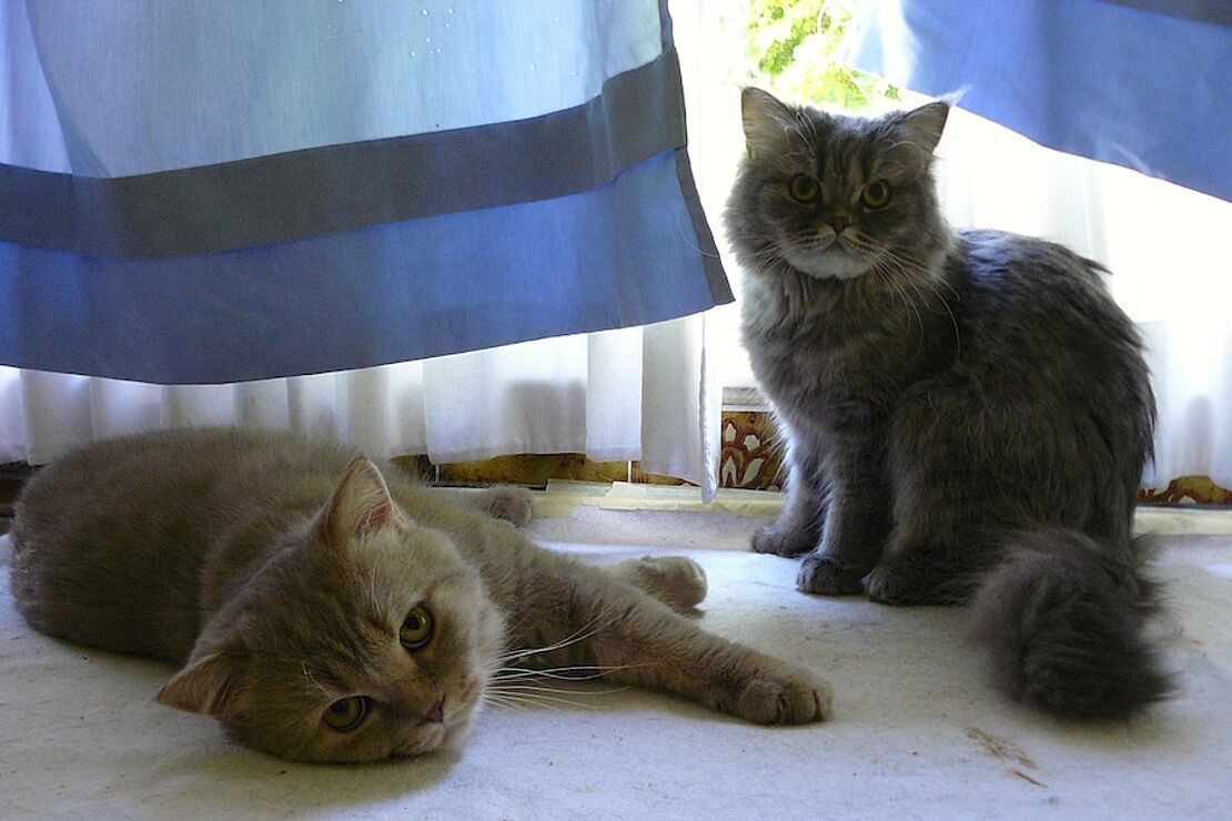 Doris_und_Dieter