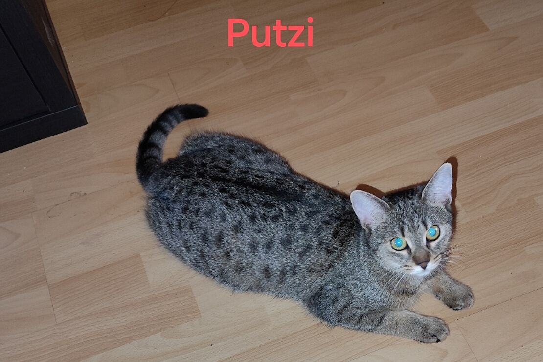 Putzi_3
