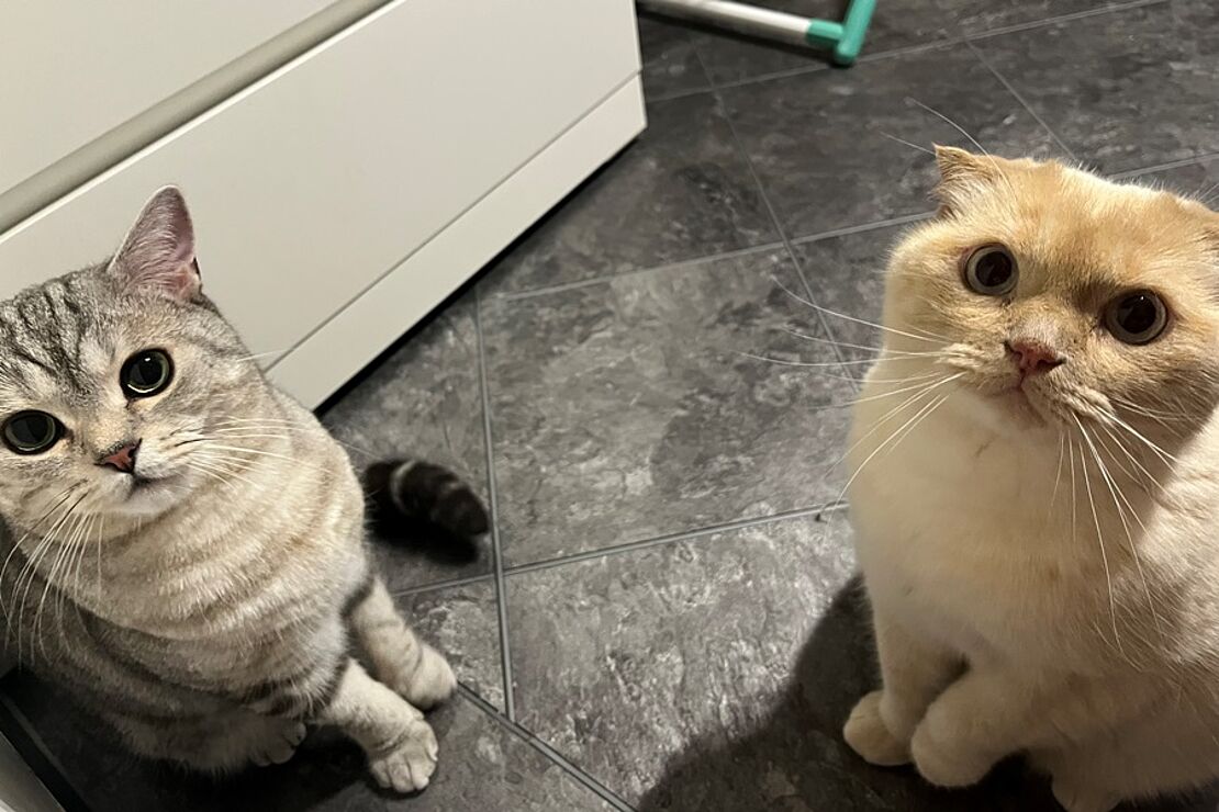 Smokey_und_Nacho