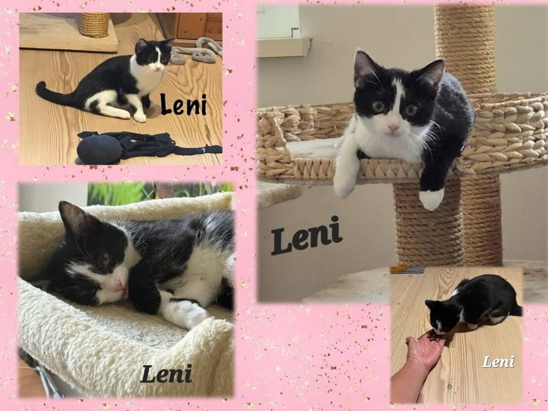 Leni