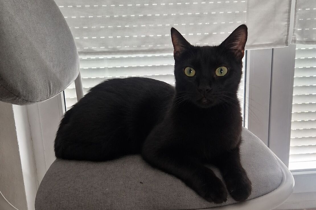 Anouk