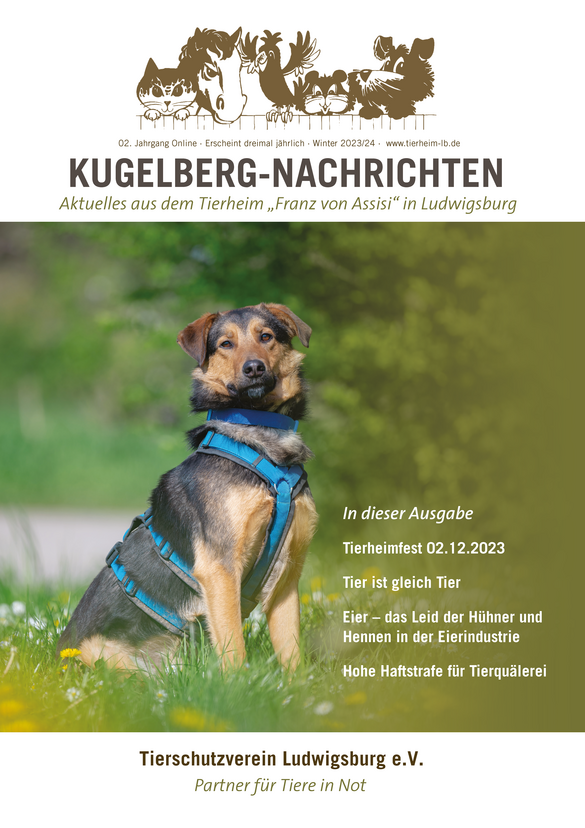 Kugelberg-Nachrichten_02-2023