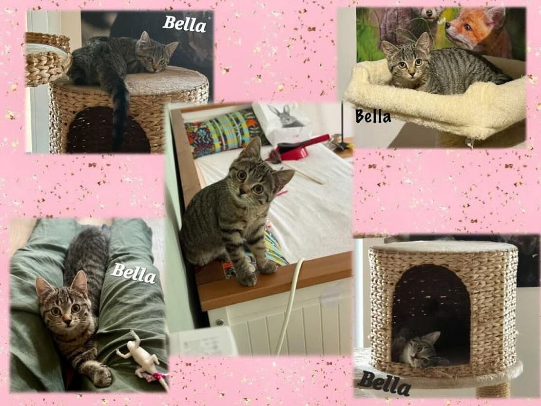 Bella
