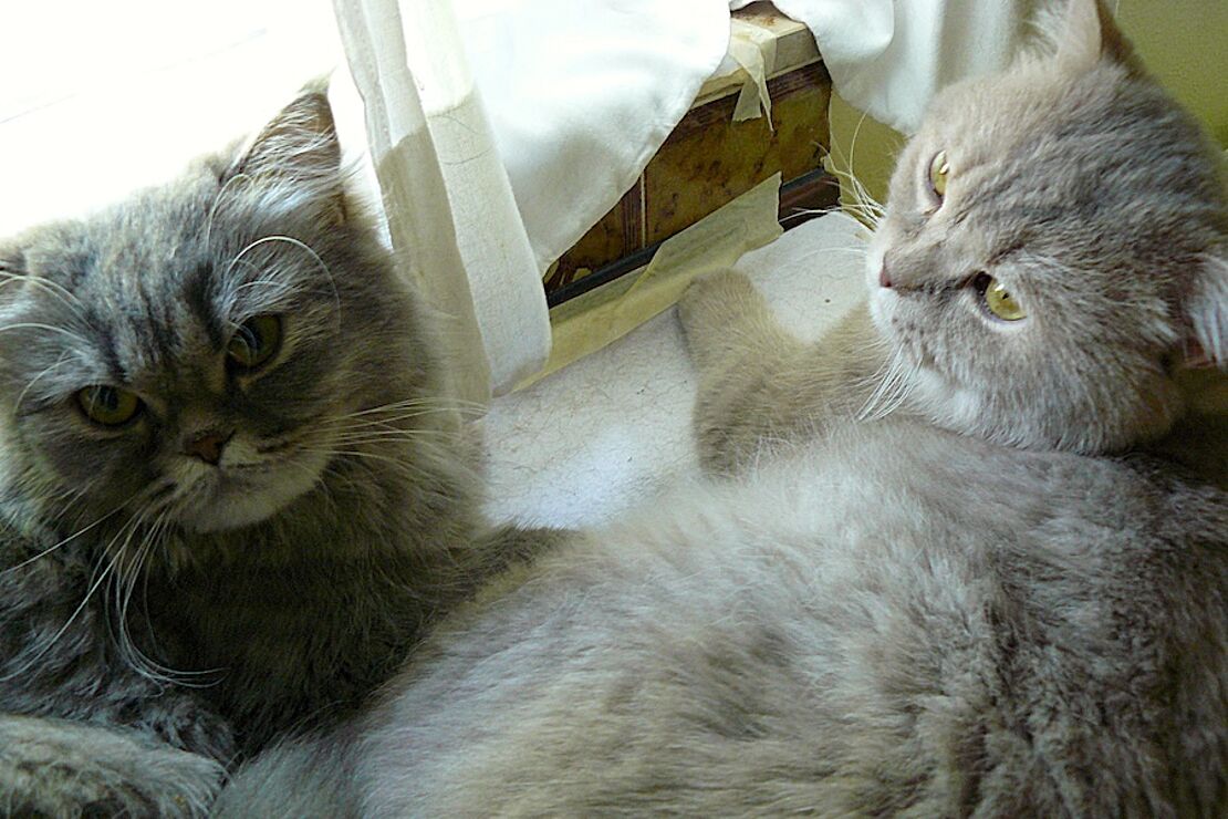 Doris_und_Dieter2