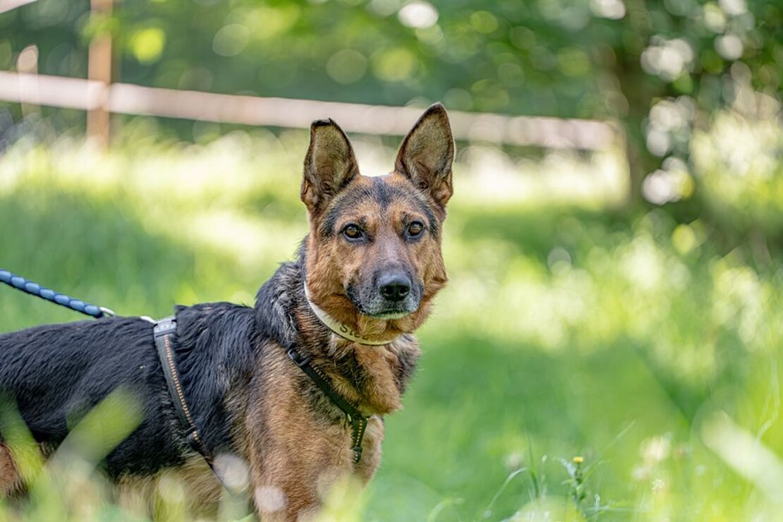 Max_03
