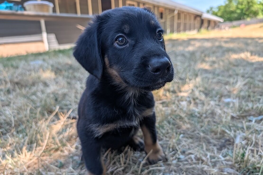 Lennon