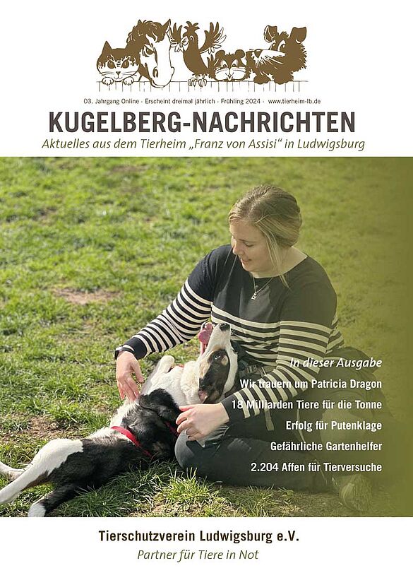 Kugelberg-Nachrichten_01-2024