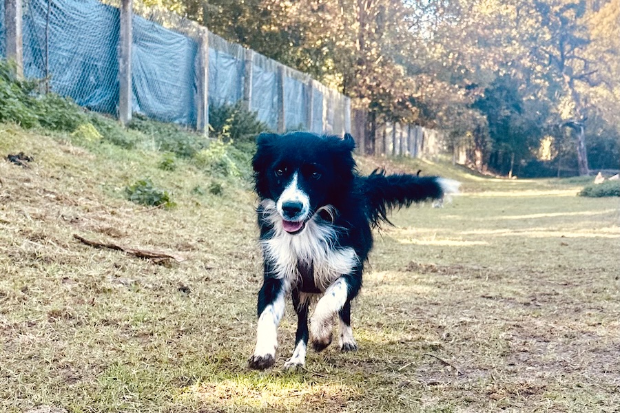 Hugo01