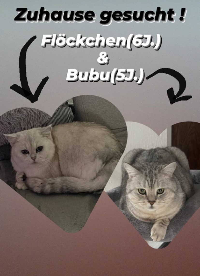 Bubu_Floeckchen